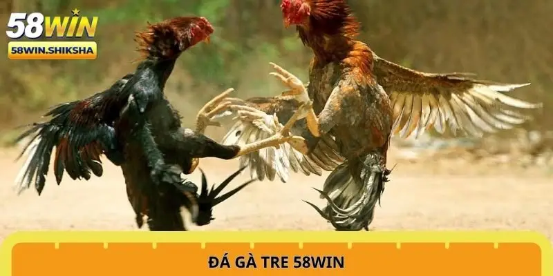 da-ga-tre-58win